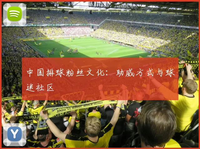 中国排球粉丝文化:助威方式与球迷社区